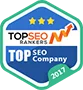 Named #1 Digital Agency in Many Countries! - 海星体育